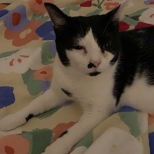 Meet your Posher, Jingjun